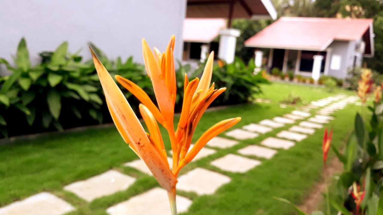 Arcadia Resort Alibaug Алібаґ Екстер'єр фото